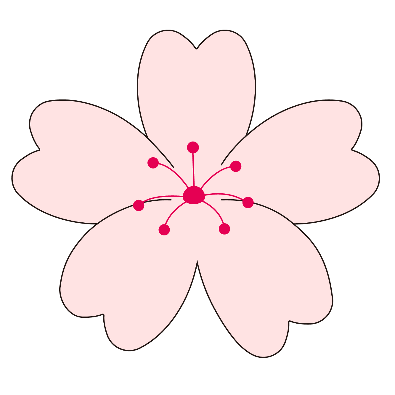 桜の花びら