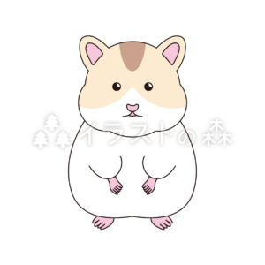 ハムスターのイラスト