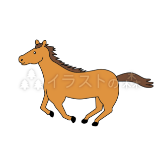 –いらもり