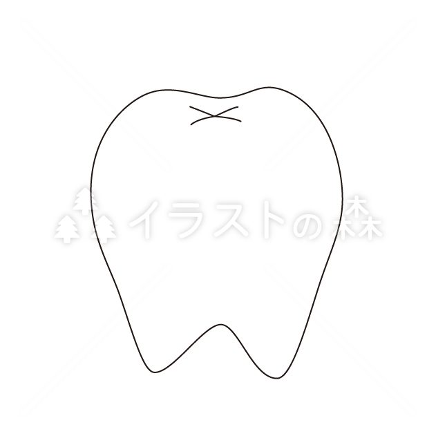 歯（一本）のイラスト カラー Tooth (one) illustration color