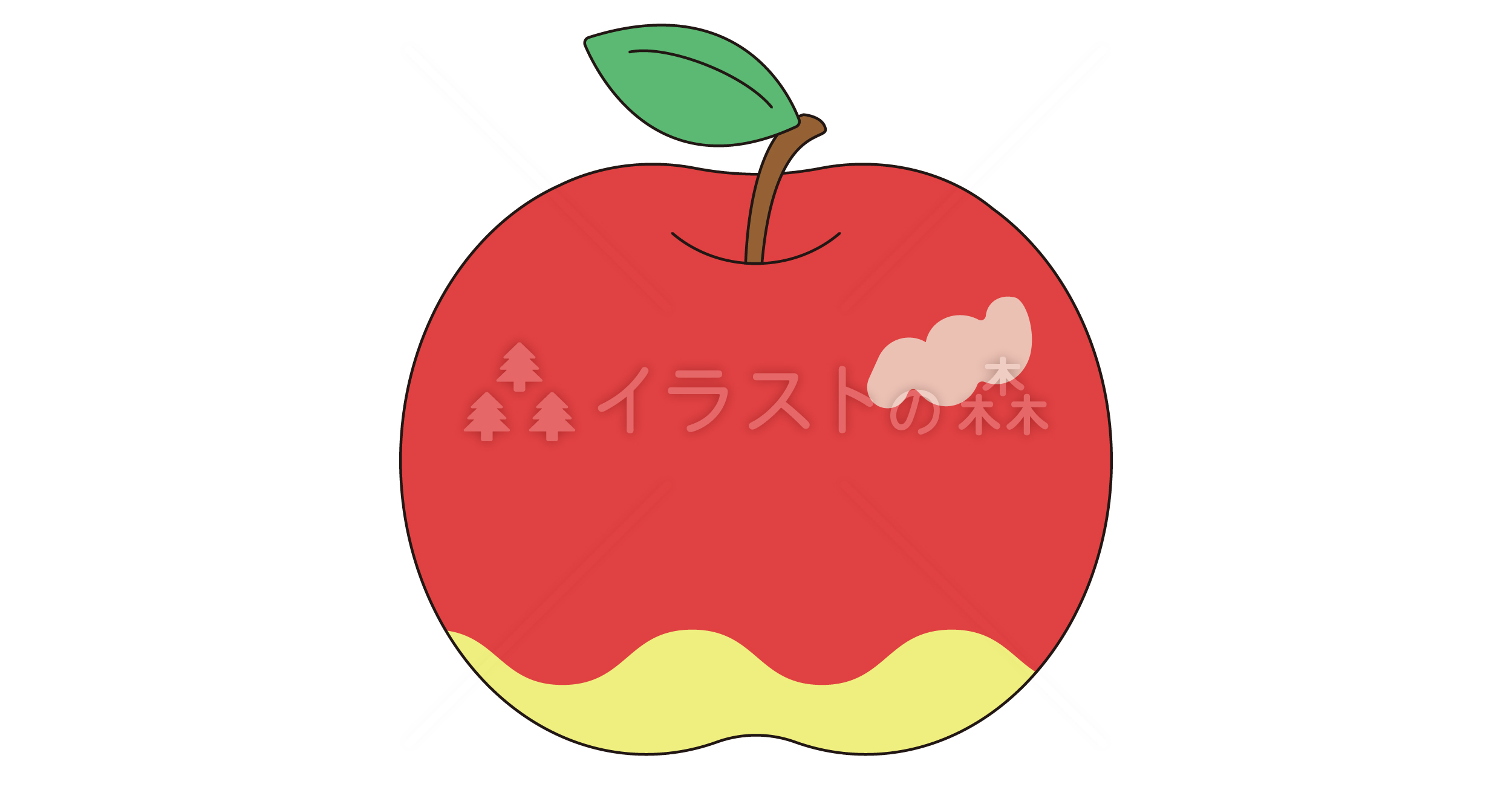 林檎（りんご） | 無料イラスト素材•商用可|いらもり