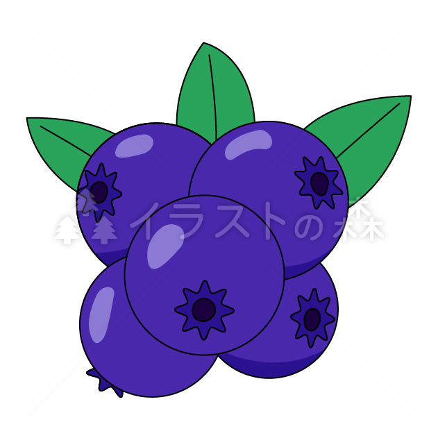 ブルーベリー