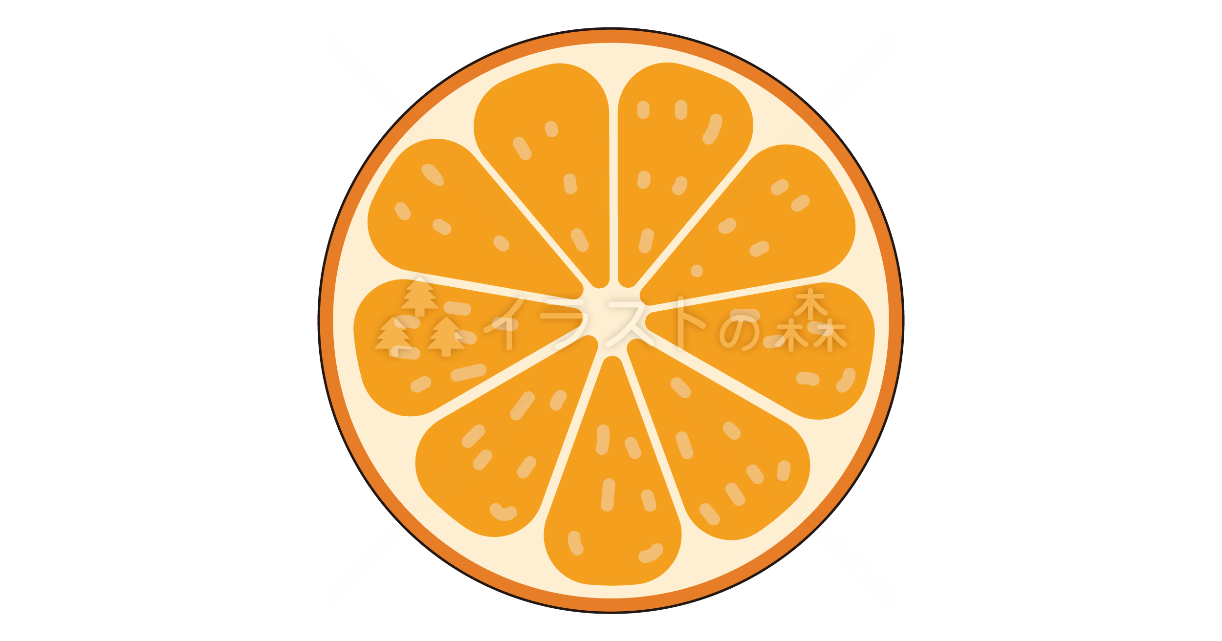 cut-orange_SNS.jpg