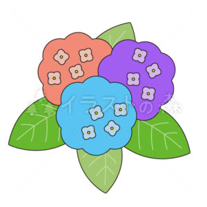 紫陽花（あじさい）–いらもりの無料カラーイラスト（ウォーターマークあり）
