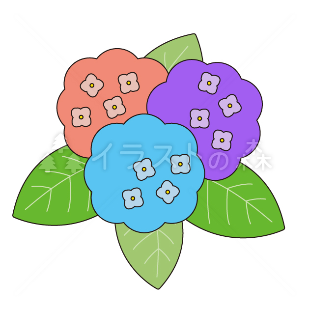 紫陽花（あじさい）–いらもりの無料カラーイラスト（ウォーターマークあり）