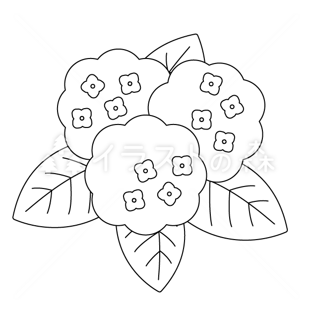紫陽花（アジサイ）の無料モノクロイラスト（ウォーターマークあり）