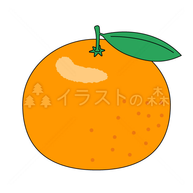 蜜柑（ミカン）・オレンジ