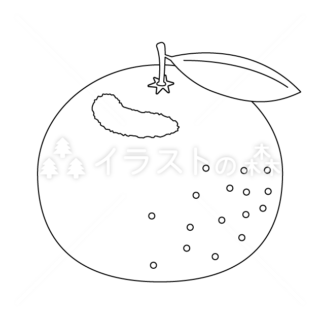 みかん・オレンジの無料モノクロイラスト（ウォーターマークあり）