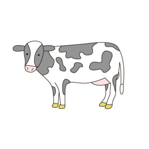 乳牛・ホルスタインの無料カラーイラスト