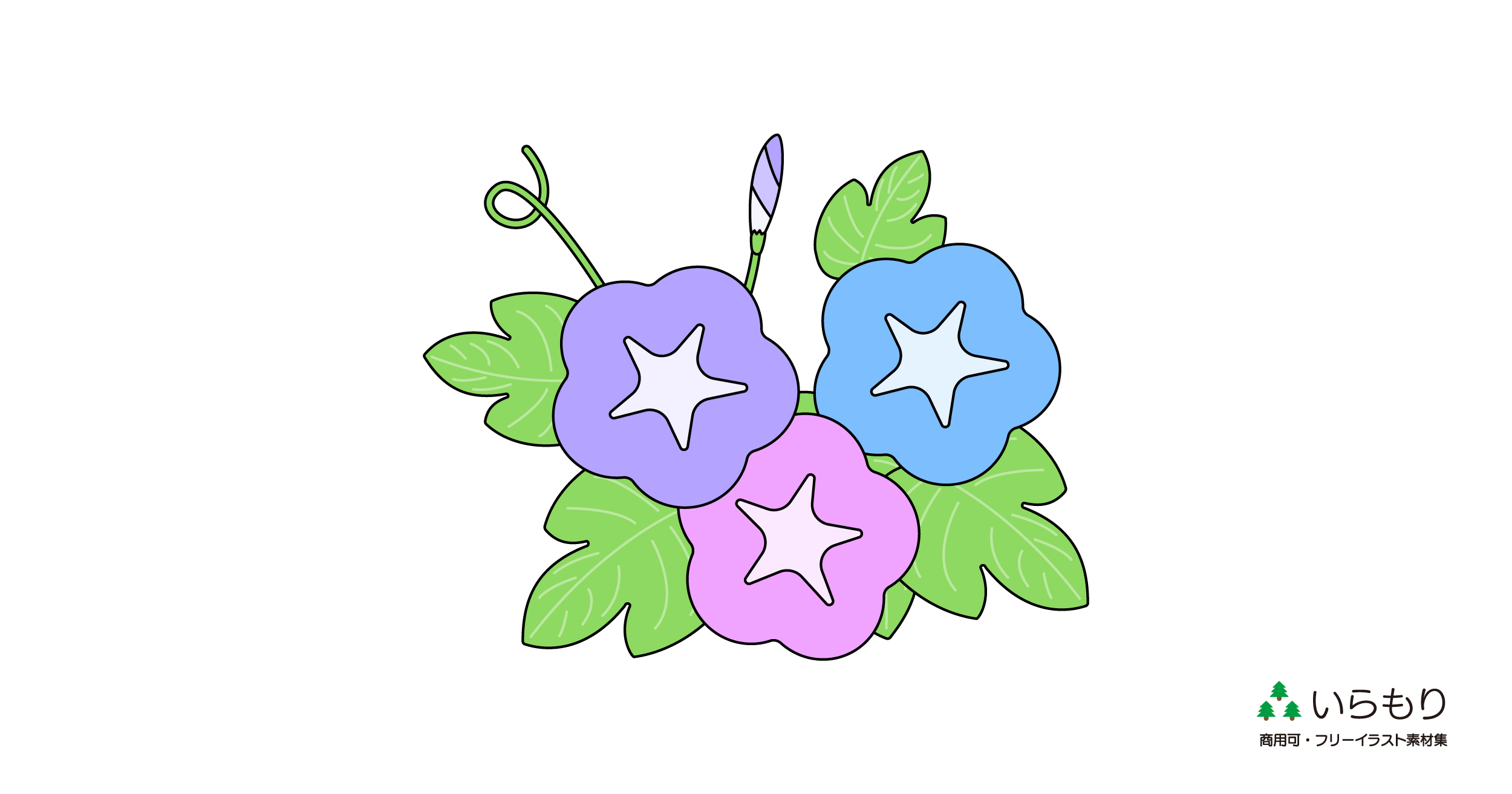 朝顔 | 無料イラスト素材•商用可|いらもり