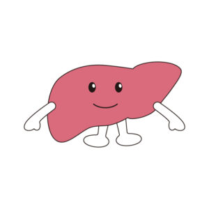 肝臓のキャラクターの無料カラーイラスト