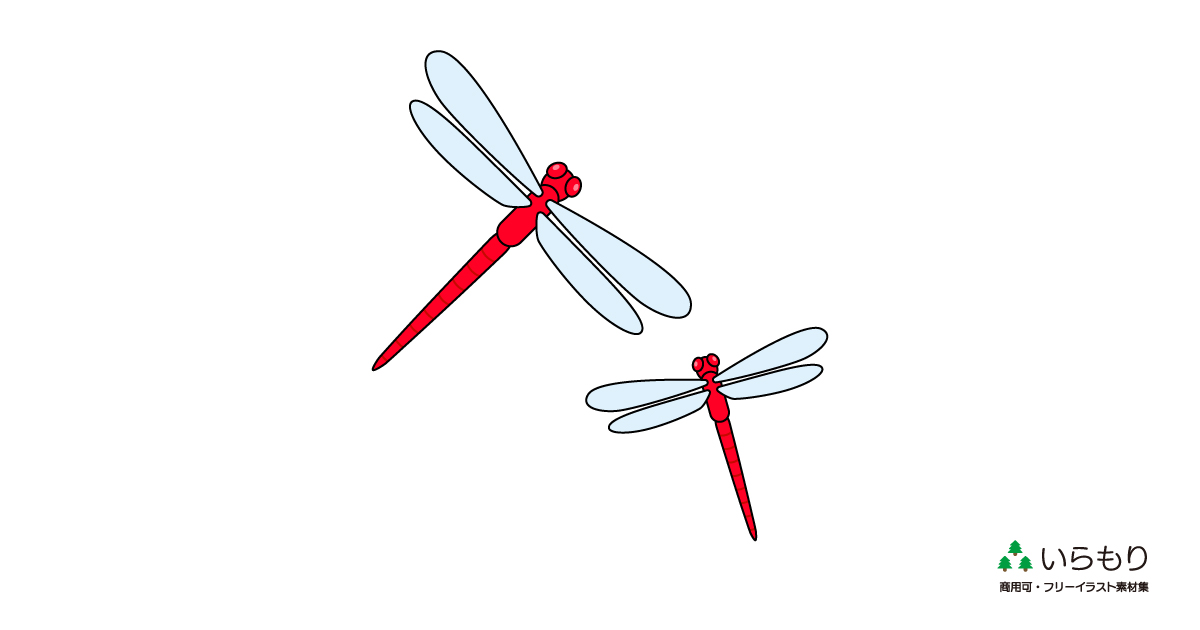 red-dragonfly_SNS.jpg