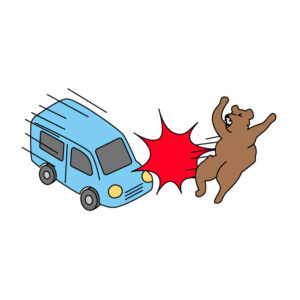 車に轢かれる熊（クマ）の無料カラーイラスト