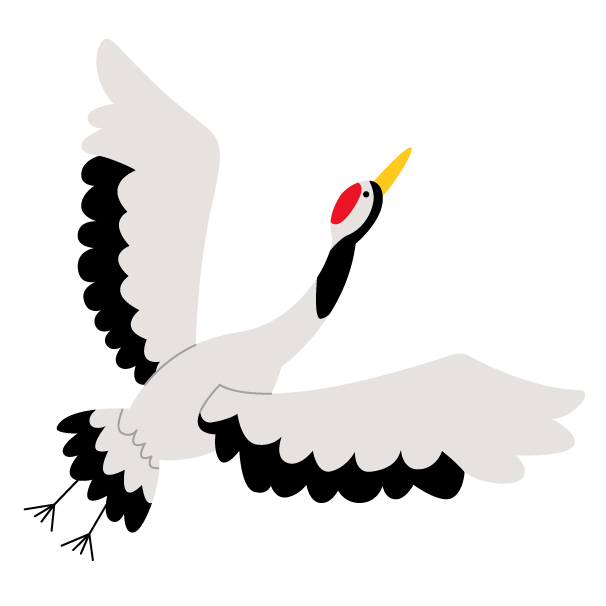 舞い上がるタンチョウの無料線なしイラスト