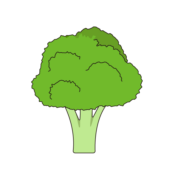 ブロッコリーの無料カラーイラスト