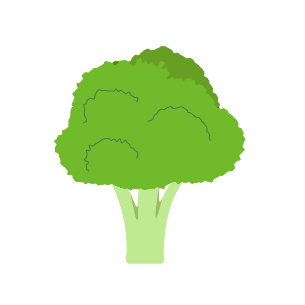 ブロッコリーの無料線なしイラスト