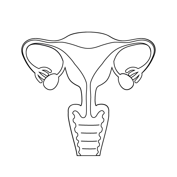 子宮の無料モノクロイラスト