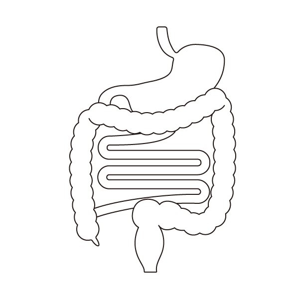 消化器系の無料モノクロイラスト