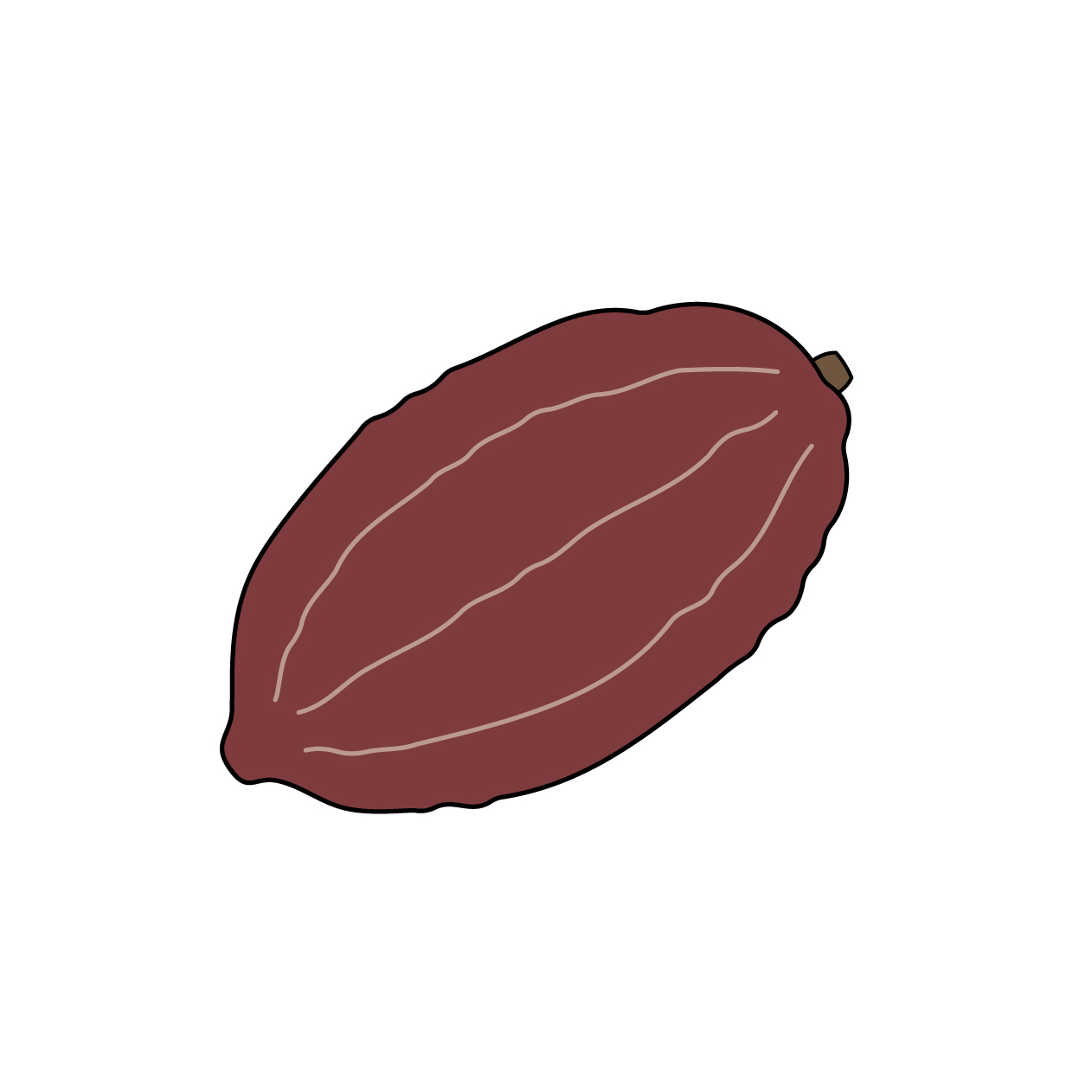 カカオの実の無料カラーイラスト