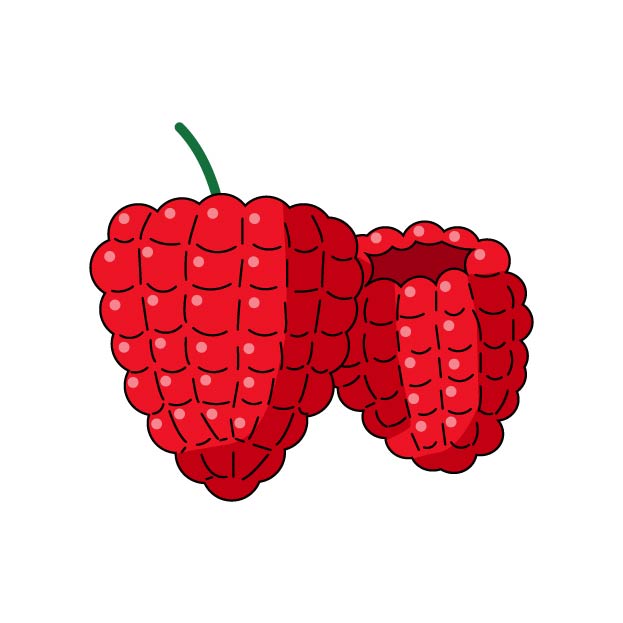 木苺（ラズベリー）の無料カラーイラスト