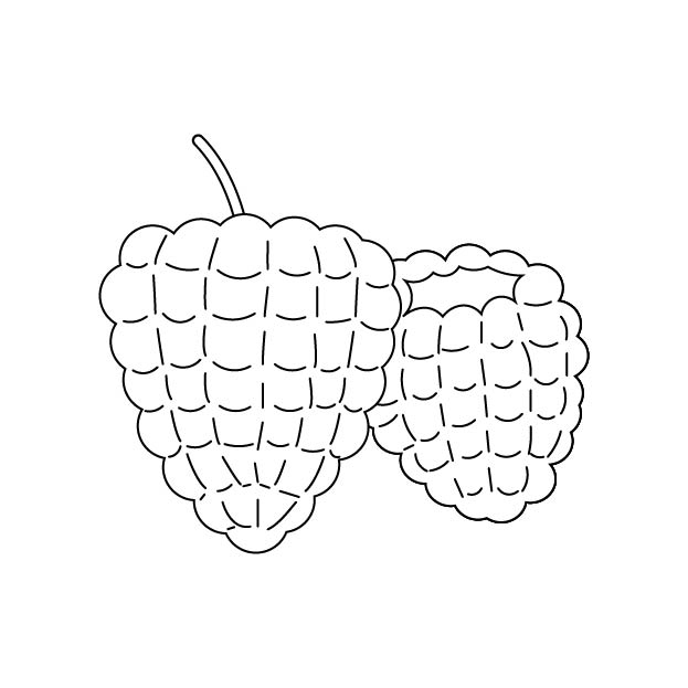 木苺（ラズベリー）の無料モノクロイラスト