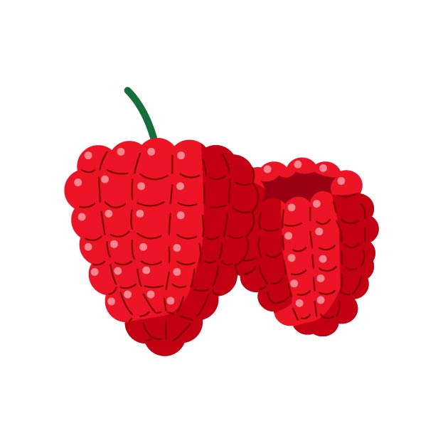 木苺（ラズベリー）の無料線なしイラスト