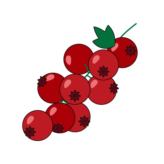 赤スグリ（カリンズ）の無料カラーイラスト