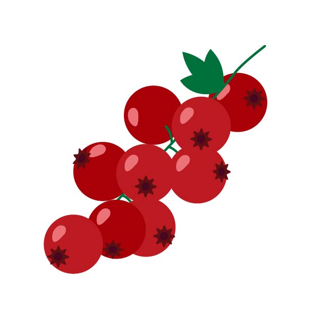 赤スグリ（カリンズ）の無料線なしイラスト