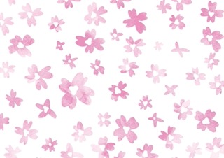 桜の花の水彩背景素材