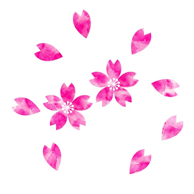 桜の花と花びら(水彩)