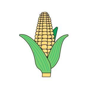 とうきびの無料カラーイラスト