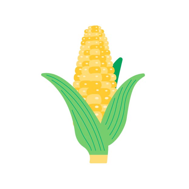 とうきびの無料線なしイラスト