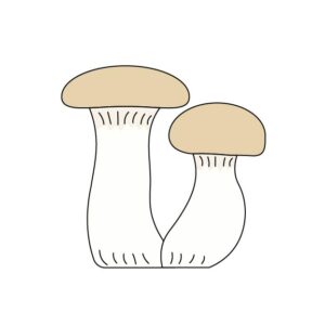 エリンギ