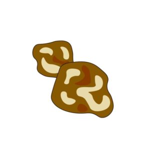 キクラゲ