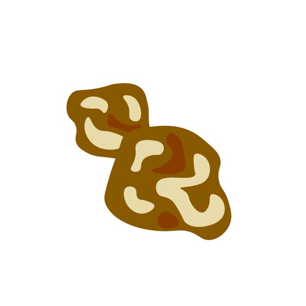 キクラゲの無料線なしイラスト