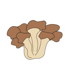 まいたけ