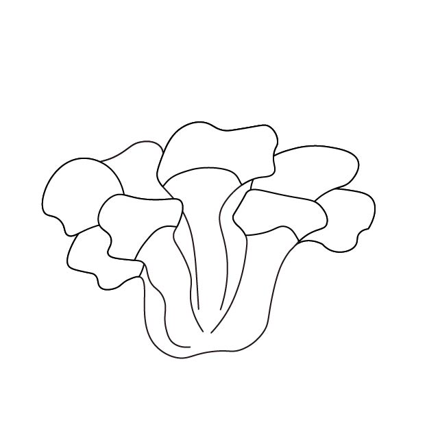 まいたけの無料モノクロイラスト