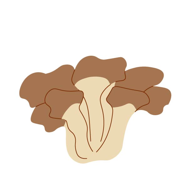 まいたけの無料線なしイラスト