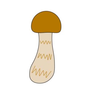 まつたけ