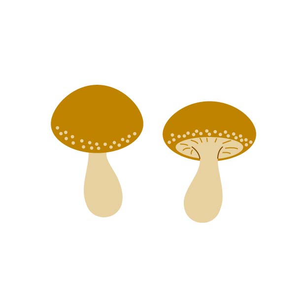 椎茸の無料線なしイラスト