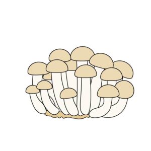 しめじ