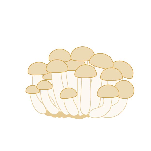 しめじの無料線なしイラスト