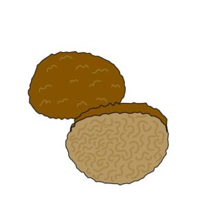 トリュフ