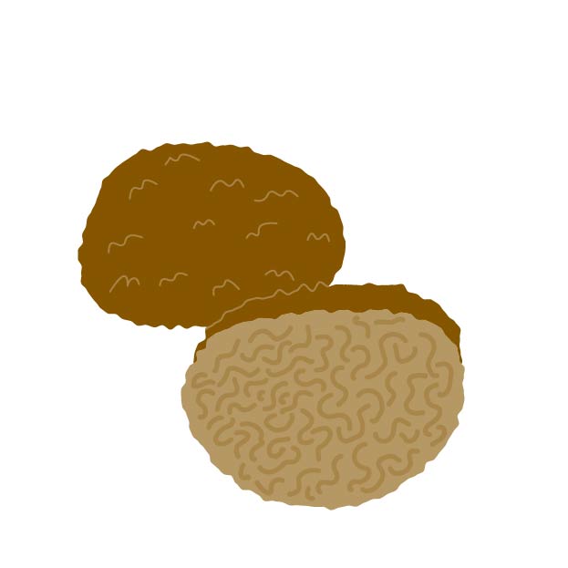 トリュフの無料線なしイラスト