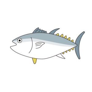 マグロ